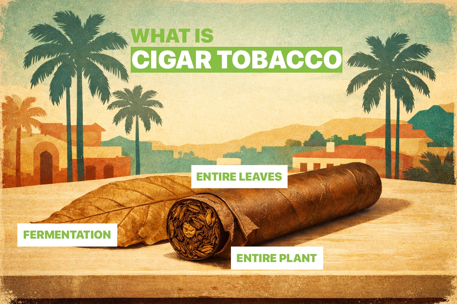 What is cigar tobacco