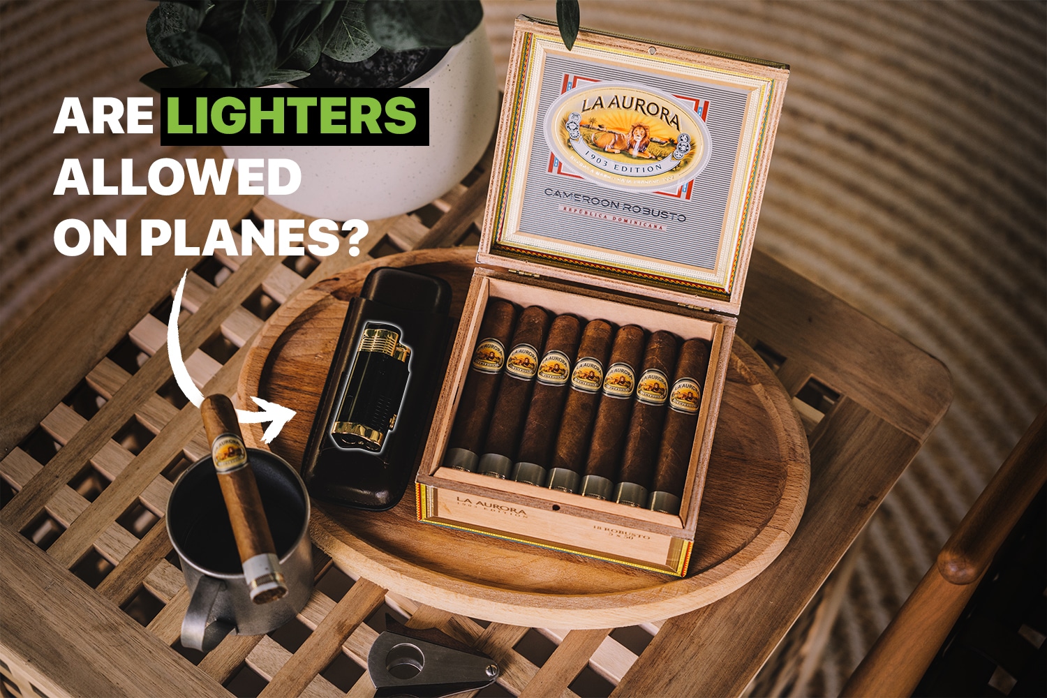 Can You Bring a Lighter on a Plane? The TSA Rules You Need to Know