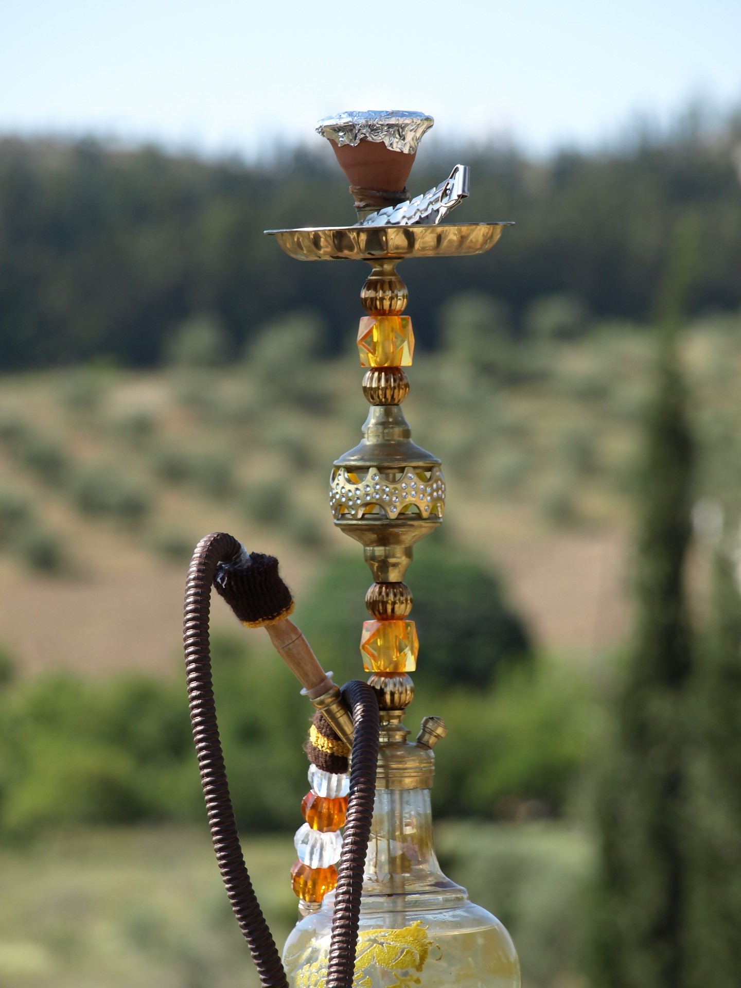 Hookah and cigars which are the differences? Dan on Cigars Blog SwissCubanCigars