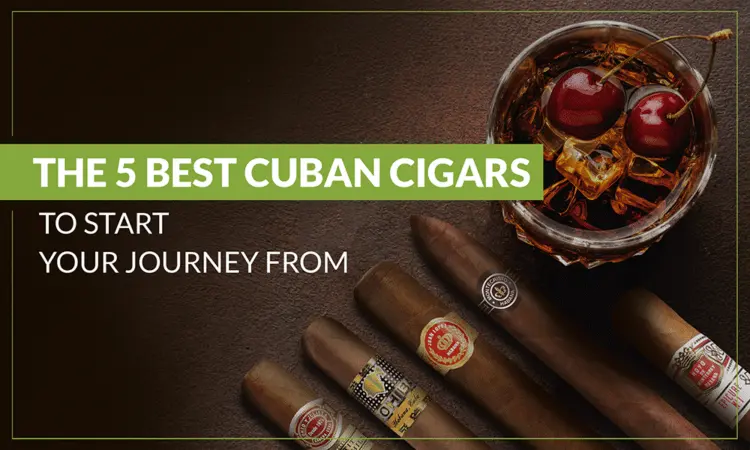 The 5 Best Cuban Cigars to Start Your Journey From