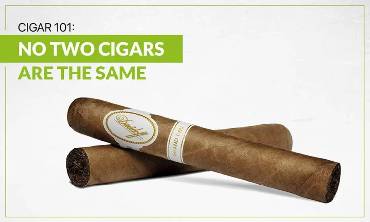 Cigar 101: No Two Cigars Are The Same