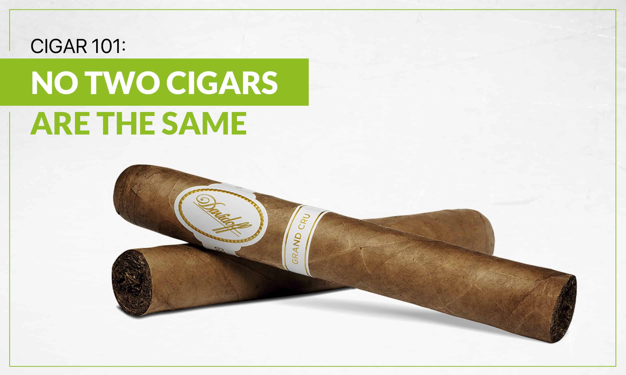 Cigar 101: No Two Cigars Are The Same