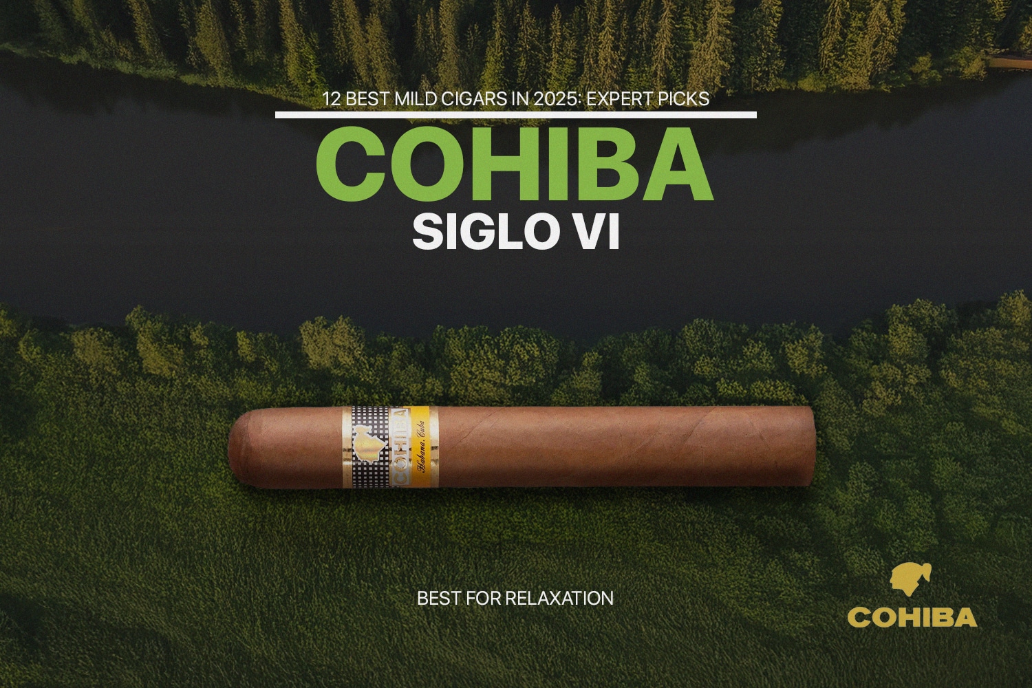 Cohiba Siglo VI
