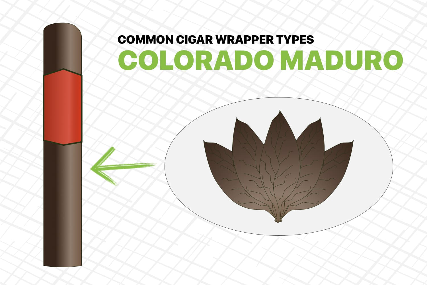 Colorado Maduro