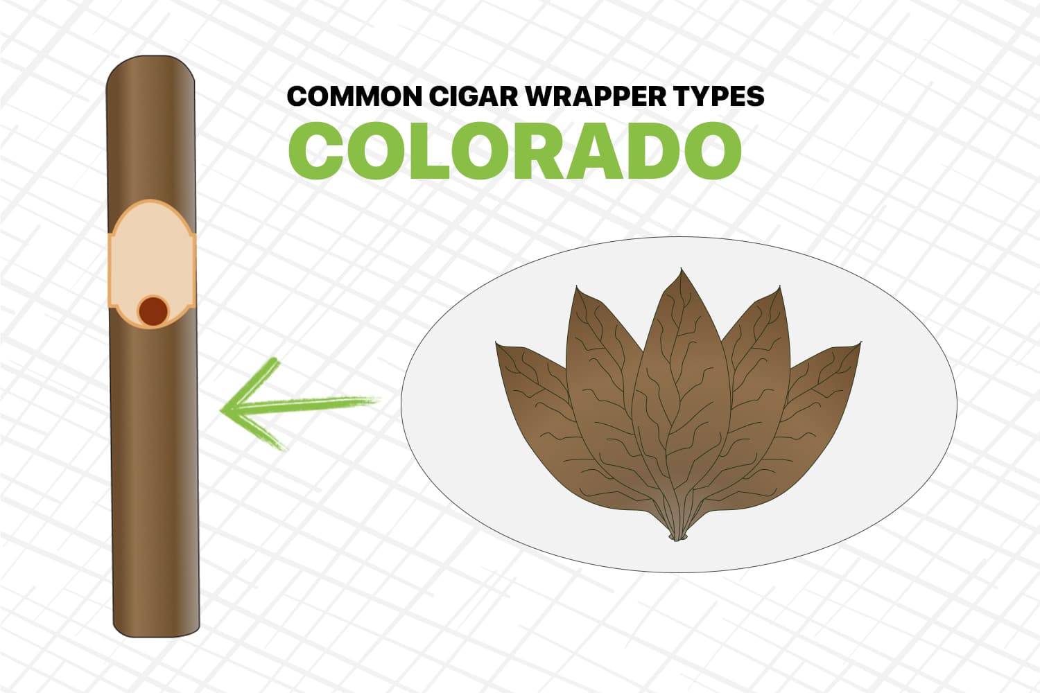 Colorado
