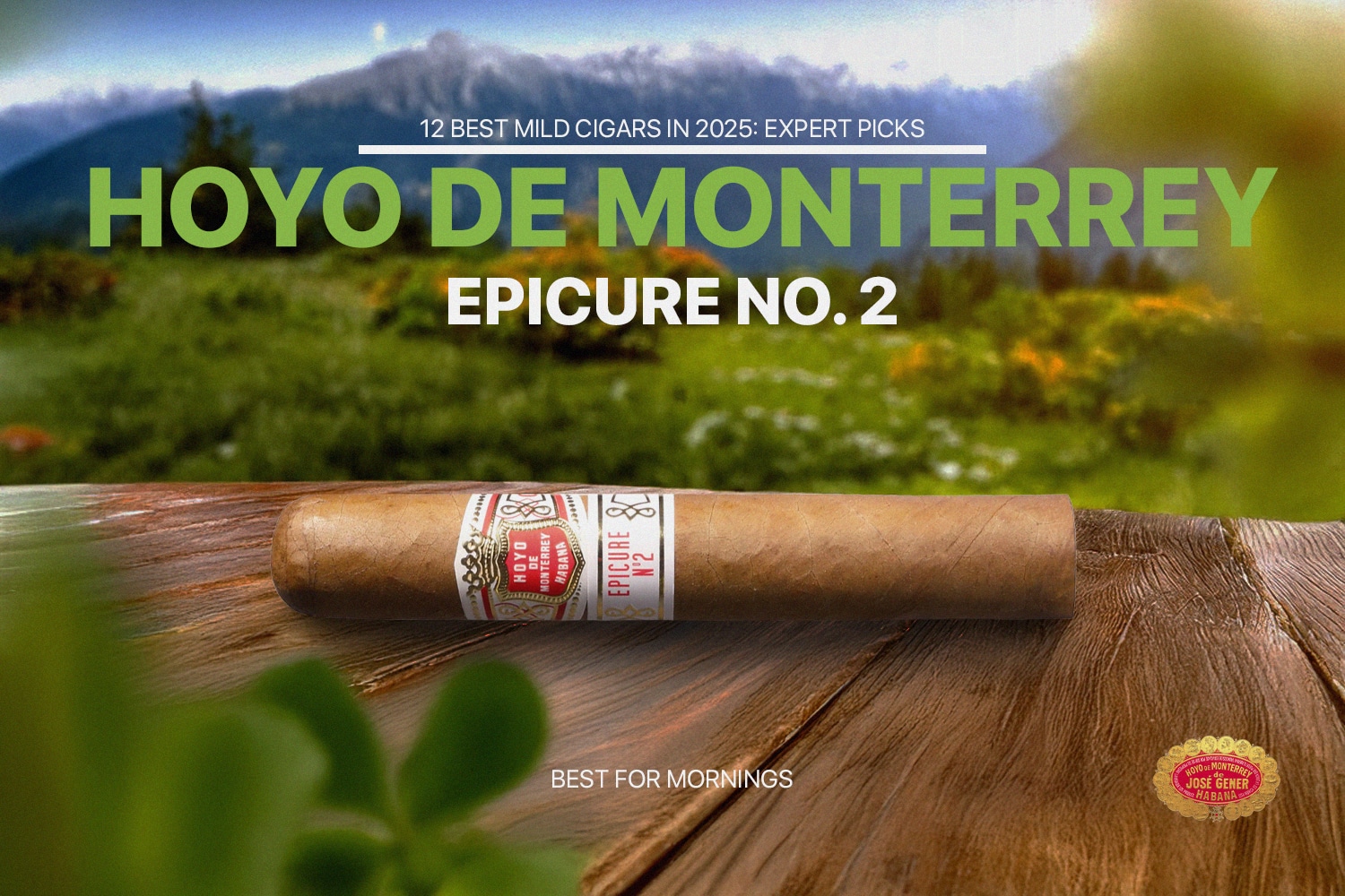 Hoyo de Monterrey Epicure