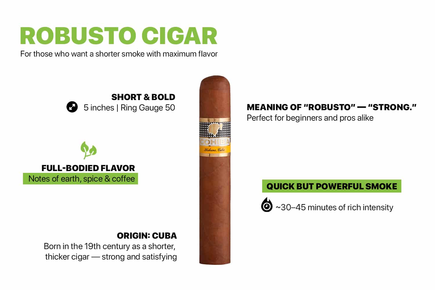 robusto