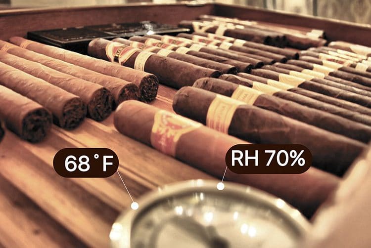 How to Keep Cigars Fresh