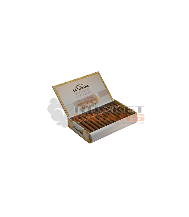 San Cristobal de la Habana la Punta Cuban Cigars from SwissCubanCigars
