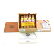 Bolivar Short Bolivar