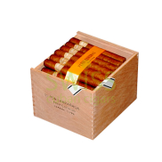Por Larranaga Petit Coronas (Box 50)