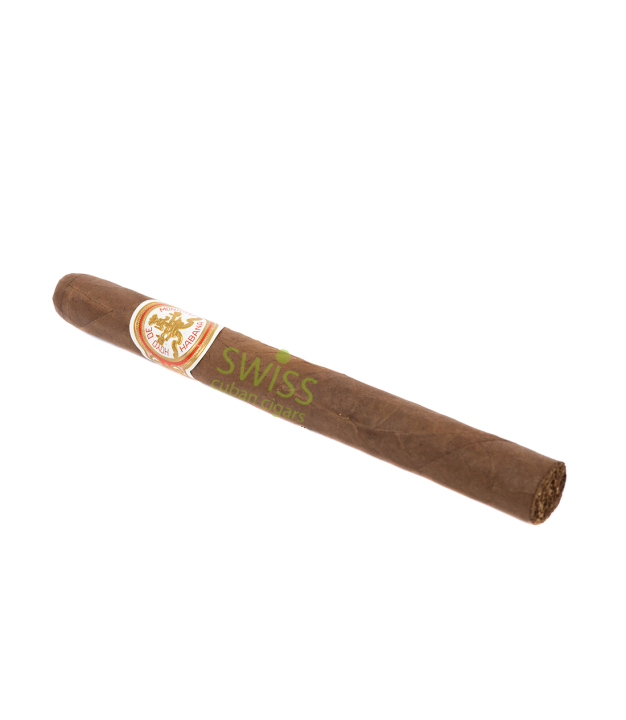 Hoyo de Monterrey Double Coronas 