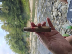 Partagas Serie P No. 2