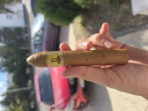 Bolivar Belicosos Finos