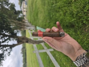 Partagas Serie D No. 4 