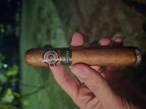 Montecristo Master Open Series