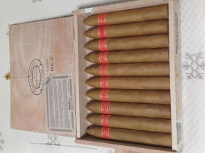 Partagas Serie P No. 2 