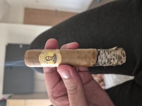 Bolivar Royal Coronas