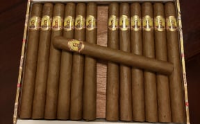 Bolivar Coronas Gigantes