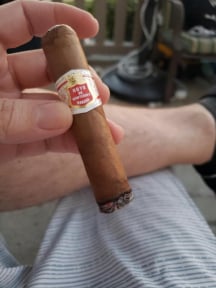 Hoyo de Monterrey Petit Robustos