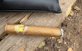 Bolivar Royal Coronas