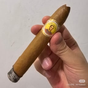 Bolivar Belicosos Finos