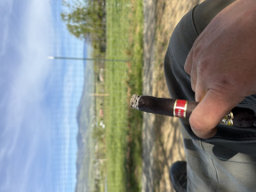 Ramon Allones Specially Selected 