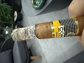 Cohiba Robustos
