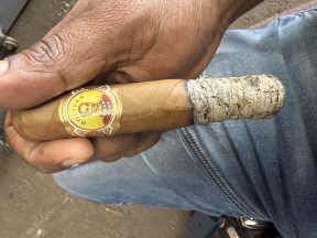 Bolivar Royal Coronas