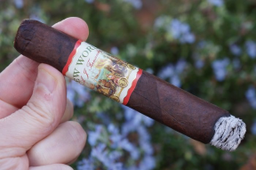 New World Navegante Robusto by AJ Fernandez