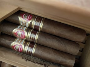 H.Upmann Robustos Añejados