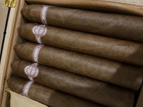 Sancho Panza Belicosos